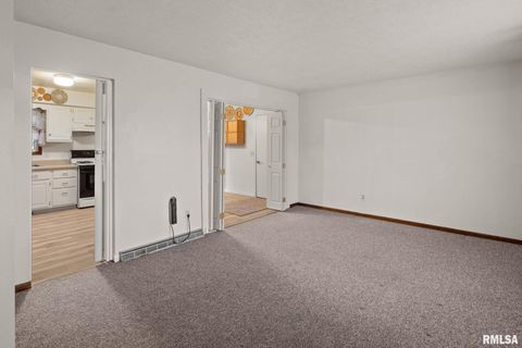 Tiny photo for 827 9TH Street, Colona, IL 61241 (MLS # QC4269641)