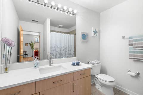 Tiny photo for 1910 S Michigan Avenue #307, Chicago, IL 60616 (MLS # 12722153)