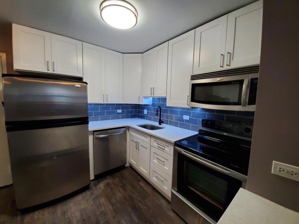 222 E Pearson Street 1205