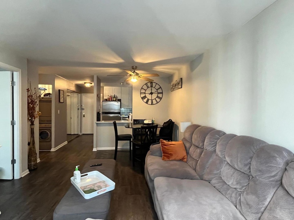 222 E Pearson Street 1205