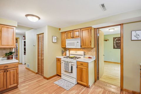 Tiny photo for 27630 N Hickory Street, Island Lake, IL 60042 (MLS # 12492811)