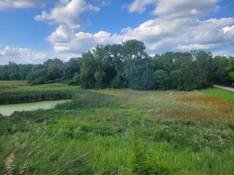 Tiny photo for 11071 Crimmin Road, Newark, IL 60541 (MLS # 12540213)