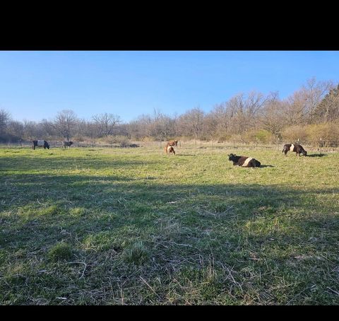 Tiny photo for 11071 Crimmin Road, Newark, IL 60541 (MLS # 12540213)