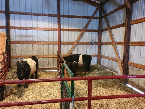 Tiny photo for 11071 Crimmin Road, Newark, IL 60541 (MLS # 12540213)