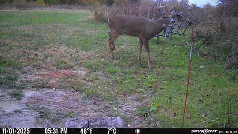 Tiny photo for 11071 Crimmin Road, Newark, IL 60541 (MLS # 12540213)