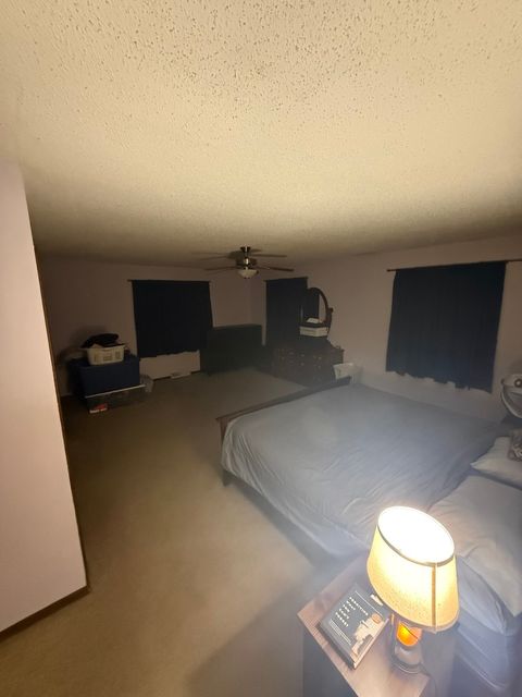 Tiny photo for 12780 1745 North Avenue, Wyanet, IL 61379 (MLS # 12635989)