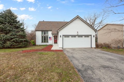 17466 W Windslow Drive Grayslake IL 60030