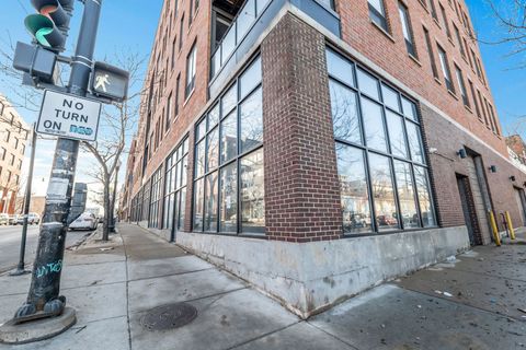 1610 S Halsted Street Chicago IL 60608