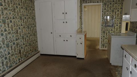 Tiny photo for 107 Charles Street, Rosiclare, IL 62982 (MLS # 12572949)