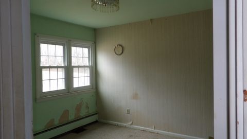 Tiny photo for 107 Charles Street, Rosiclare, IL 62982 (MLS # 12572949)