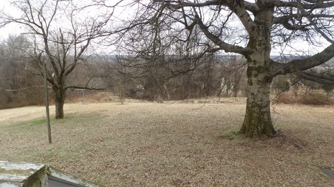 Tiny photo for 107 Charles Street, Rosiclare, IL 62982 (MLS # 12572949)