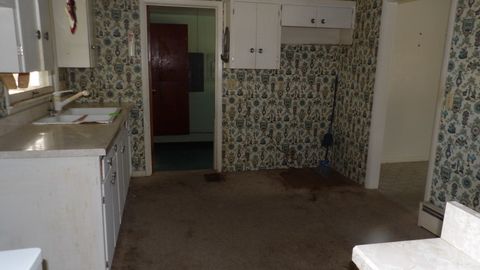 Tiny photo for 107 Charles Street, Rosiclare, IL 62982 (MLS # 12572949)