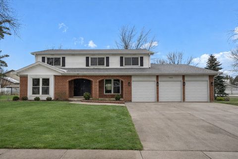 168 FARMGATE Drive Schaumburg IL 60193