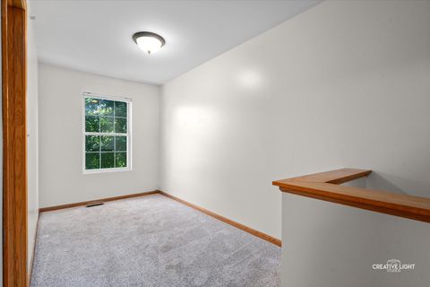 Tiny photo for 4566 Camden Lane #D, Yorkville, IL 60560 (MLS # 12447989)
