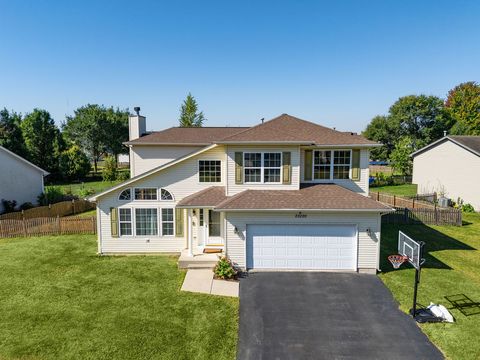 Photo of 25226 S MALLARD Drive, Channahon, IL 60410 (MLS # 12472823)