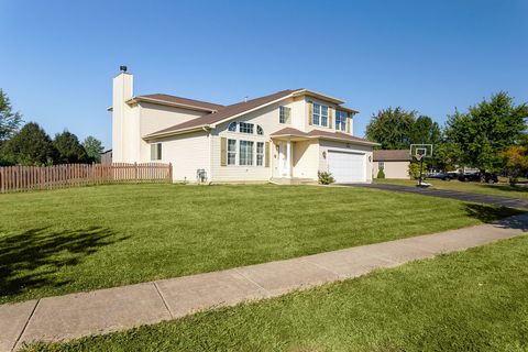 Tiny photo for 25226 S MALLARD Drive, Channahon, IL 60410 (MLS # 12472823)
