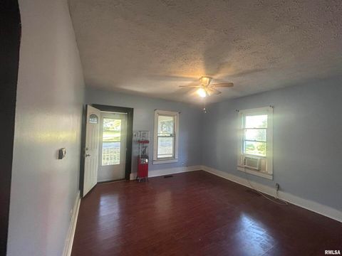 Tiny photo for 203 W 12TH Street, Metropolis, IL 62960 (MLS # EB459683)