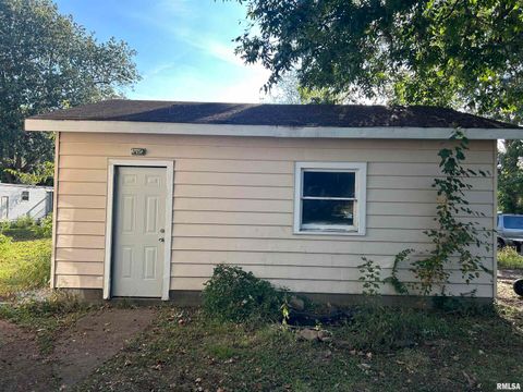 Tiny photo for 203 W 12TH Street, Metropolis, IL 62960 (MLS # EB459683)