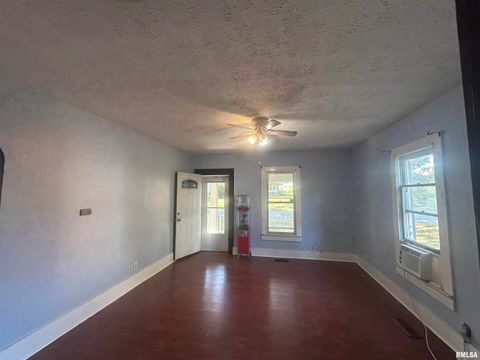 Tiny photo for 203 W 12TH Street, Metropolis, IL 62960 (MLS # EB459683)