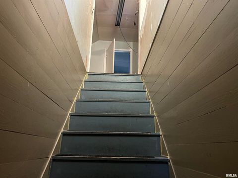 Tiny photo for 203 W 12TH Street, Metropolis, IL 62960 (MLS # EB459683)