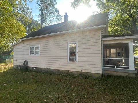 Tiny photo for 203 W 12TH Street, Metropolis, IL 62960 (MLS # EB459683)