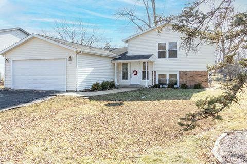 151 E Home Avenue Palatine IL 60067