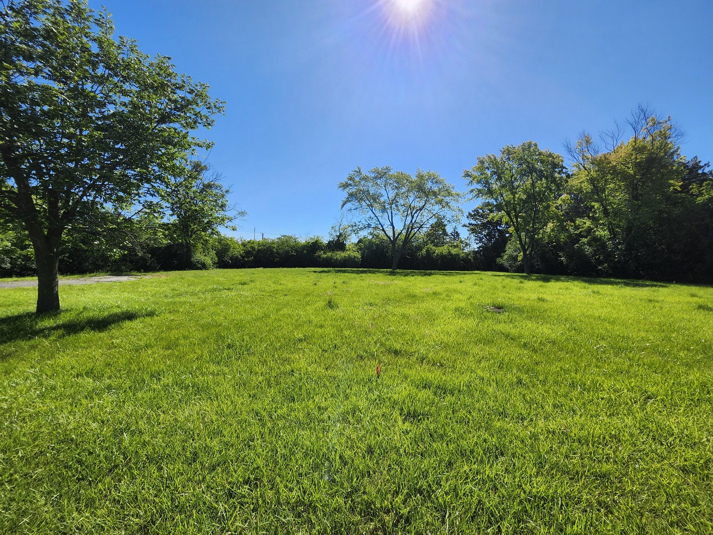 1125 Longmeadow Road