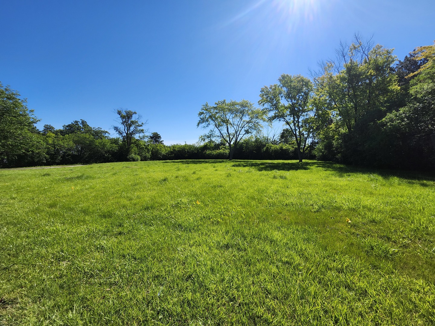 1125 Longmeadow Road
