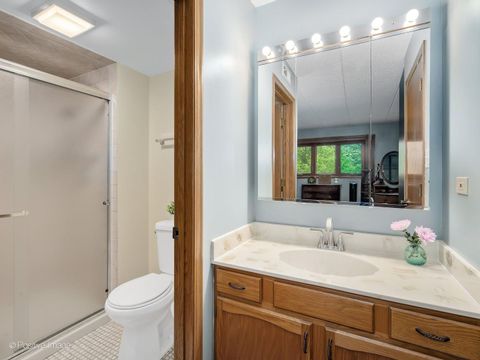 Tiny photo for 10985 S 84th Avenue #2B, Palos Hills, IL 60465 (MLS # 12631813)