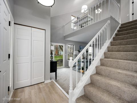 Tiny photo for 216 Still Water Court, Palatine, IL 60067 (MLS # 12527446)