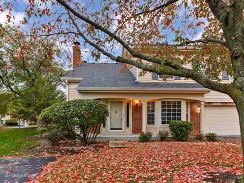 216 Still Water Court Palatine IL 60067