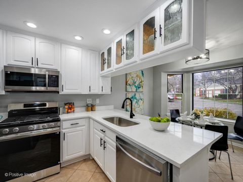 Tiny photo for 216 Still Water Court, Palatine, IL 60067 (MLS # 12527446)