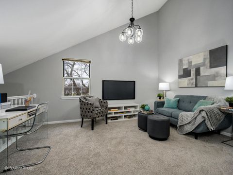 Tiny photo for 216 Still Water Court, Palatine, IL 60067 (MLS # 12527446)