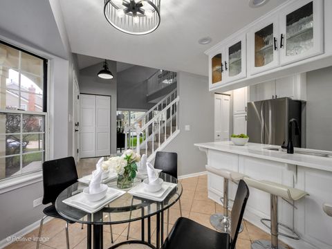 Tiny photo for 216 Still Water Court, Palatine, IL 60067 (MLS # 12527446)