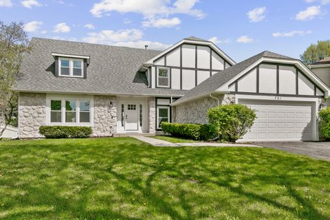 Photo of 731 Roaring Brook Lane, Algonquin, IL 60102 (MLS # 12634808)