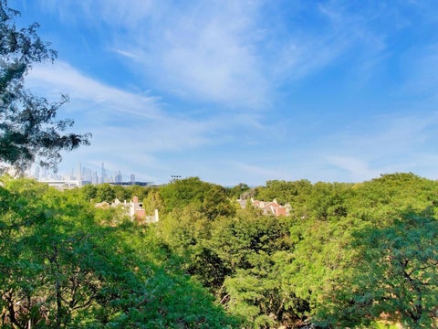 Tiny photo for 601 E 32nd Street #610, Chicago, IL 60616 (MLS # 12741540)