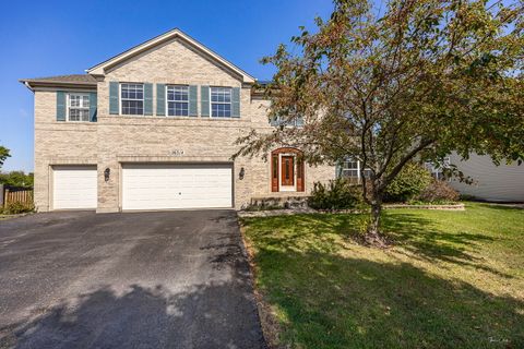 Tiny photo for 26314 W Silver Stream Drive, Channahon, IL 60410 (MLS # 12480236)