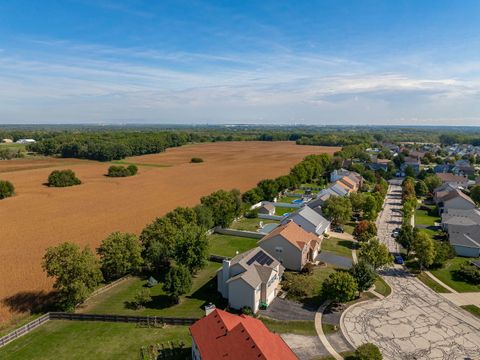 Tiny photo for 26314 W Silver Stream Drive, Channahon, IL 60410 (MLS # 12480236)
