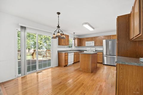 Tiny photo for 26314 W Silver Stream Drive, Channahon, IL 60410 (MLS # 12480236)