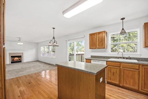 Tiny photo for 26314 W Silver Stream Drive, Channahon, IL 60410 (MLS # 12480236)