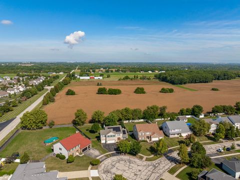 Tiny photo for 26314 W Silver Stream Drive, Channahon, IL 60410 (MLS # 12480236)