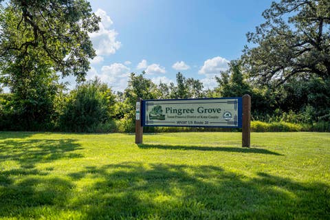 Tiny photo for 1399 Oakfield Lane, Pingree Grove, IL 60140 (MLS # 12721107)