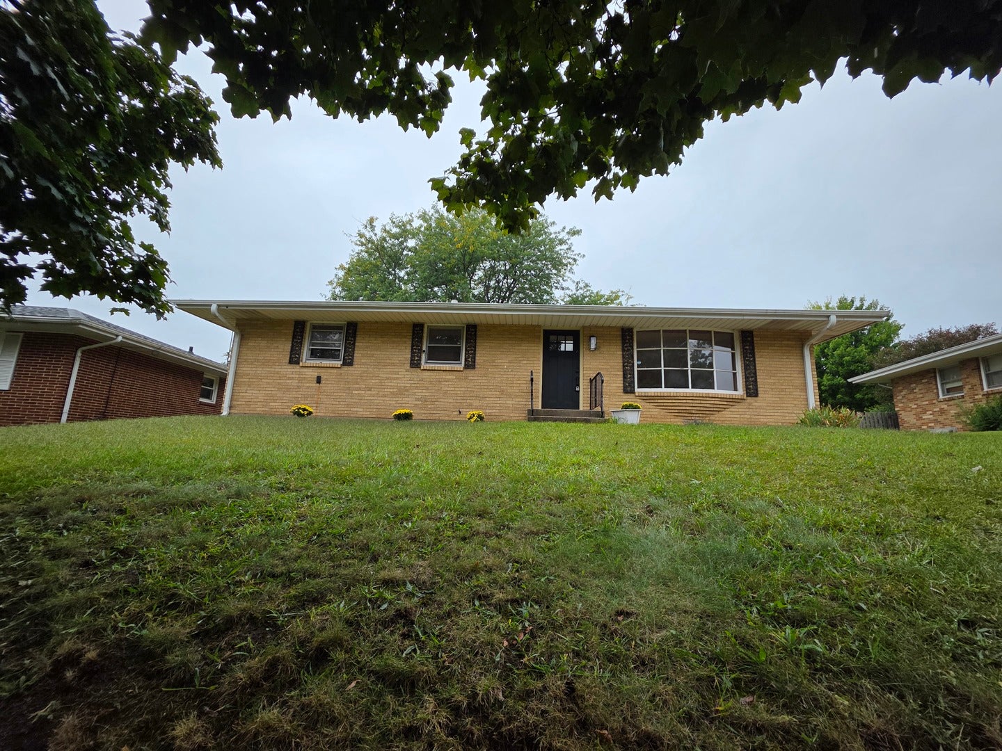 2905 Concordia Drive