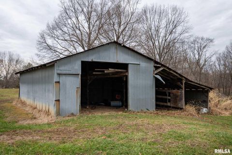 Tiny photo for 1720 Camp Cedar Point Lane, Makanda, IL 62958 (MLS # QC4269988)