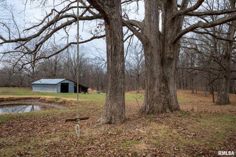 Tiny photo for 1720 Camp Cedar Point Lane, Makanda, IL 62958 (MLS # QC4269988)