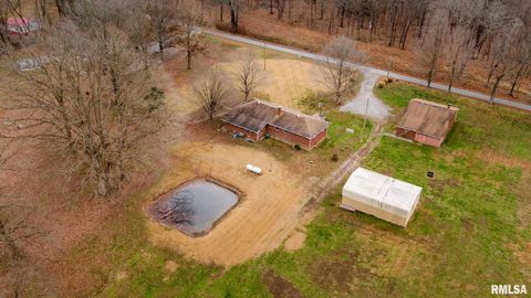 Tiny photo for 1720 Camp Cedar Point Lane, Makanda, IL 62958 (MLS # QC4269988)