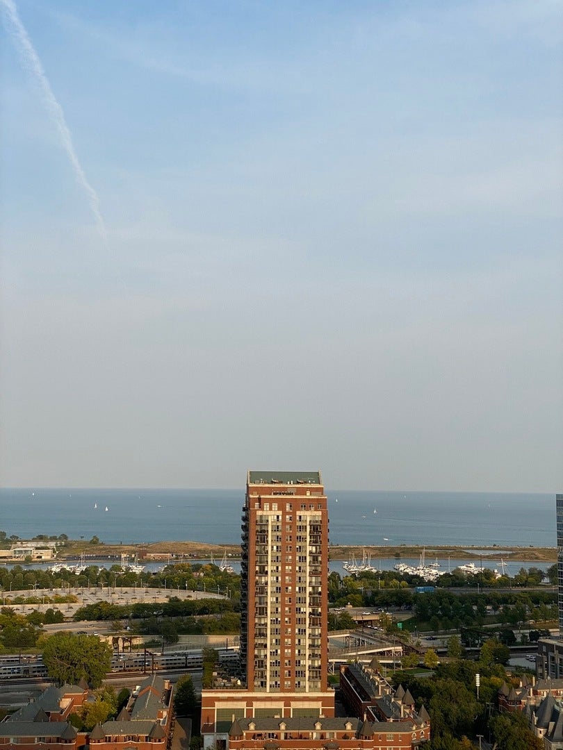 1720 S Michigan Avenue 3105