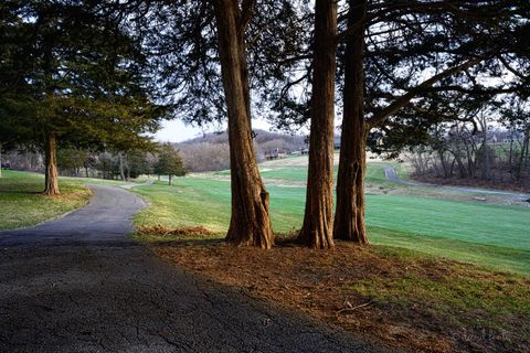 A home in Galena