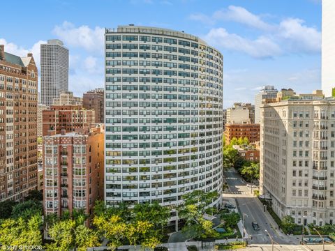 1150 N Lake Shore Drive 16K Chicago IL 60611
