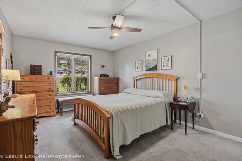 Tiny photo for 9729 Mill Court E #B1, Palos Park, IL 60464 (MLS # 12633973)